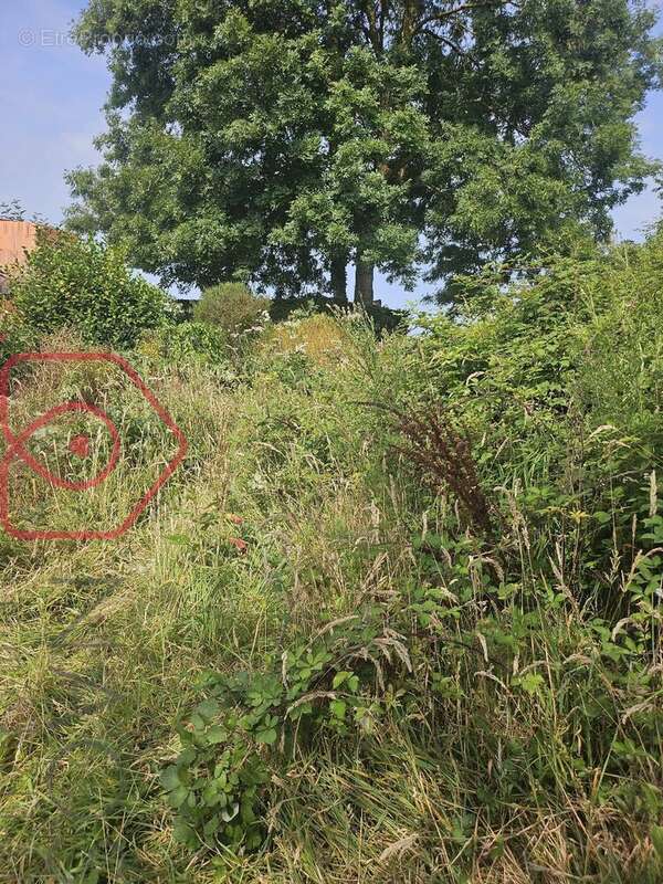 Ensemble immobilier et foncier de plus de 8 000 m²  Maison à réhabiliter & Terrain constructible et terrain agricole a 5 mns de - photo 4