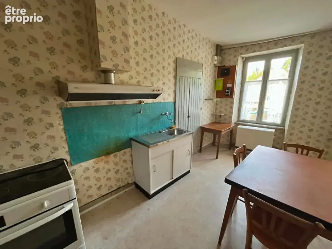 Maison de ville avec jardin et 3 garages - photo 3