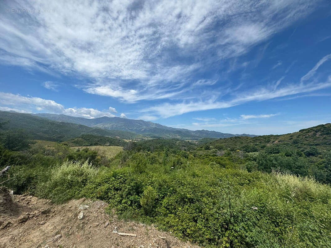 Appartement à OLMETA-DI-TUDA