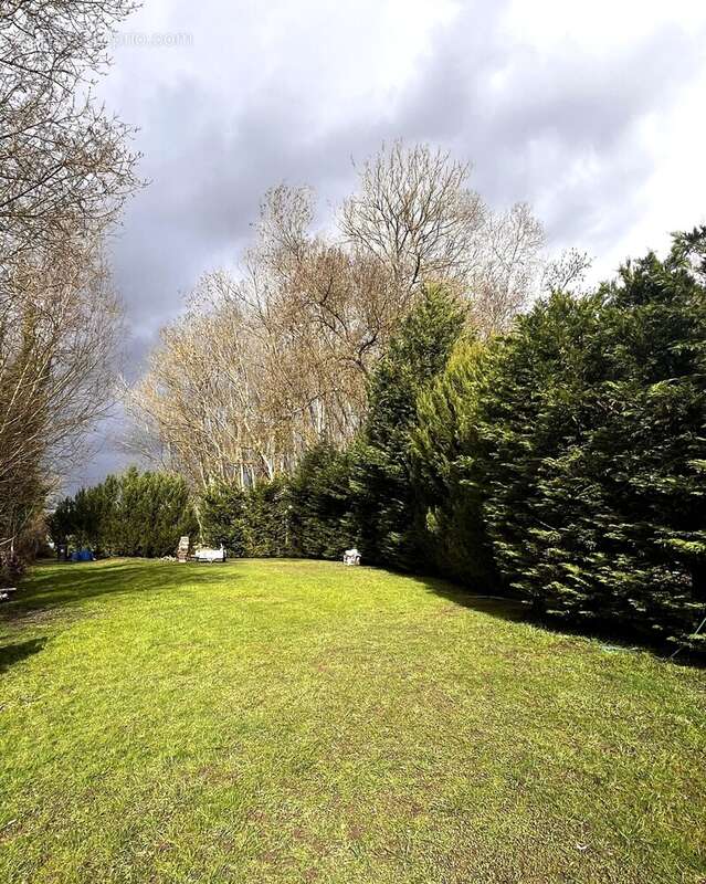Maison à POUILLY-SUR-SAONE