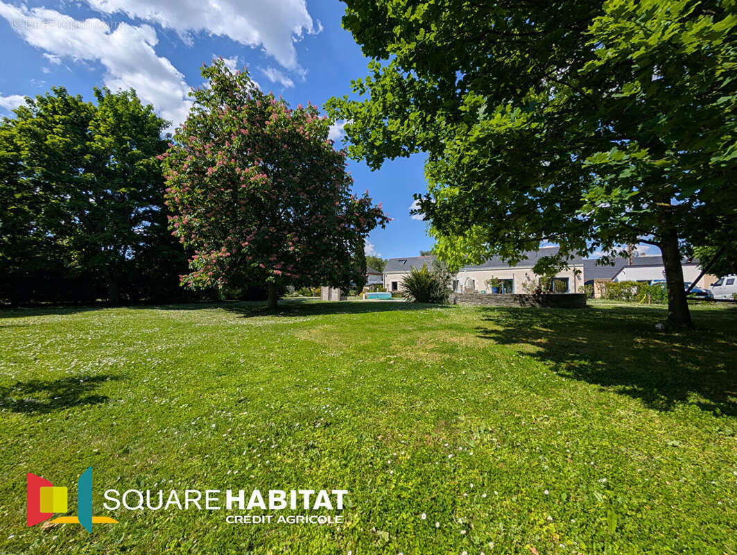 Maison à VILLEVEQUE