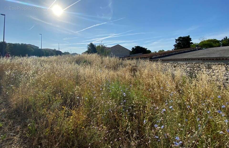 Terrain à PLAN-DE-CUQUES