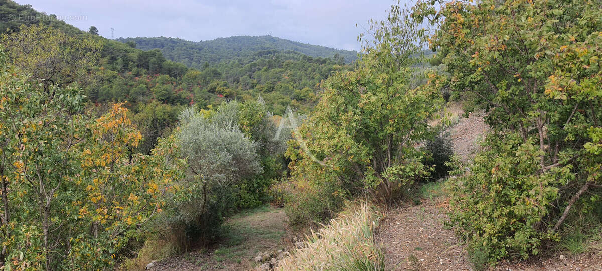 Terrain à CORBIERES