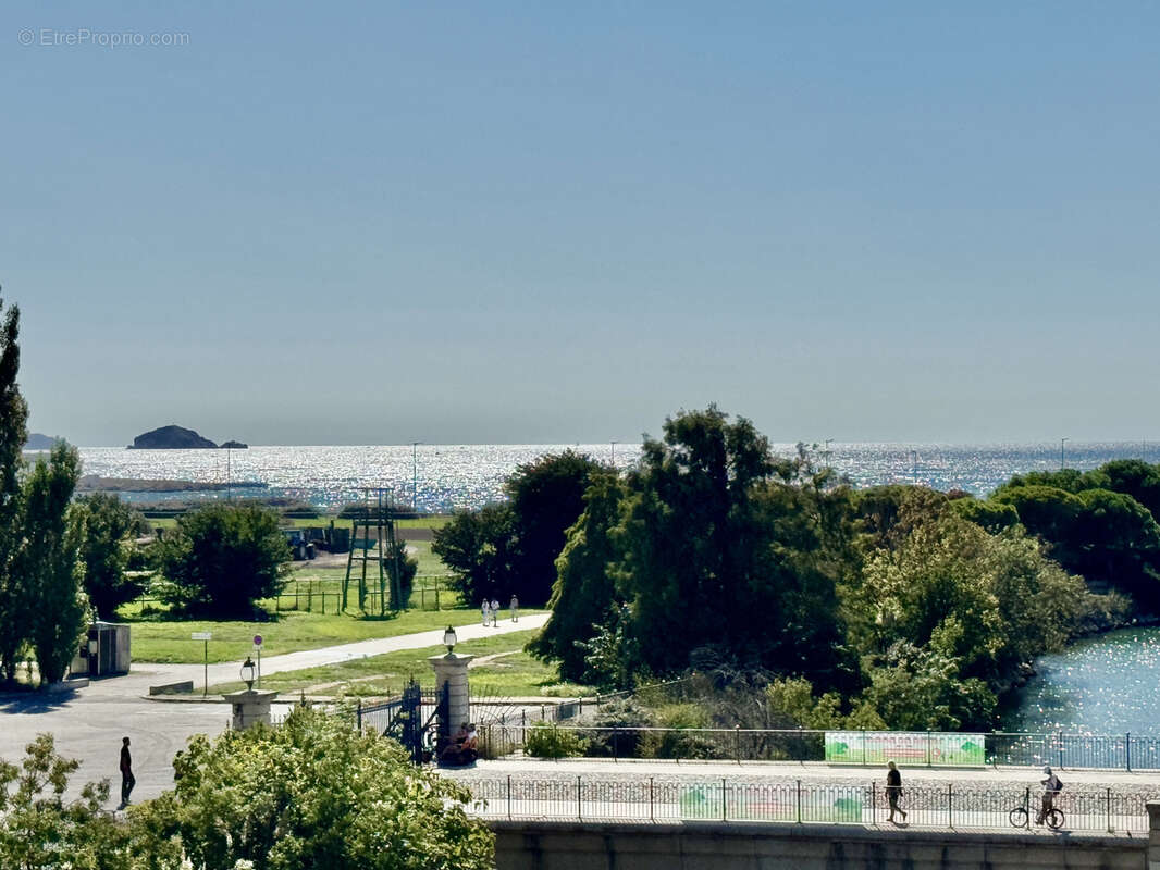 Appartement à MARSEILLE-8E