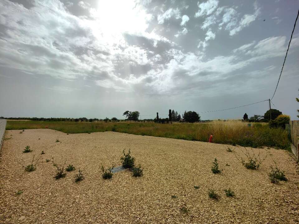 Terrain à PUIMOISSON