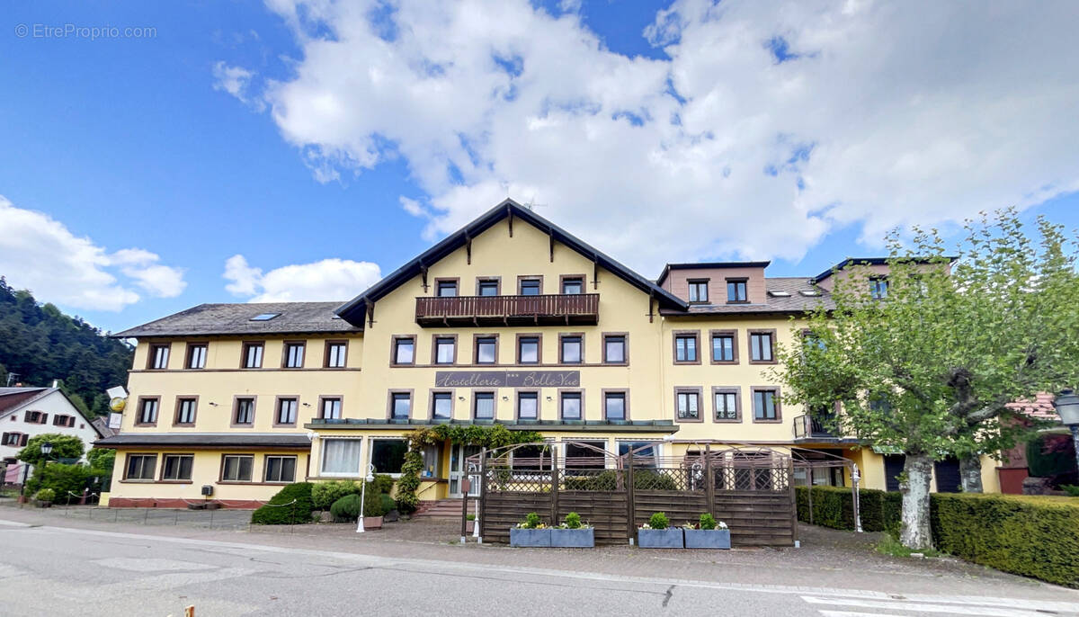 Commerce à WANGENBOURG-ENGENTHAL