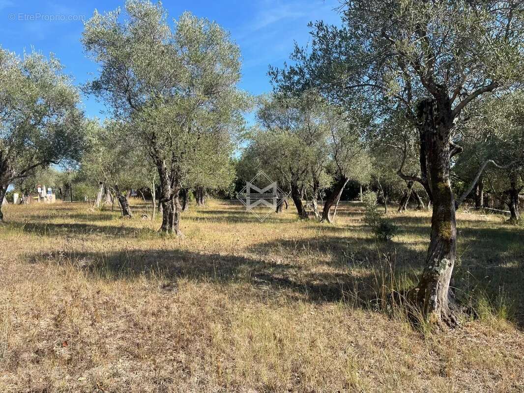 Terrain à VALBONNE