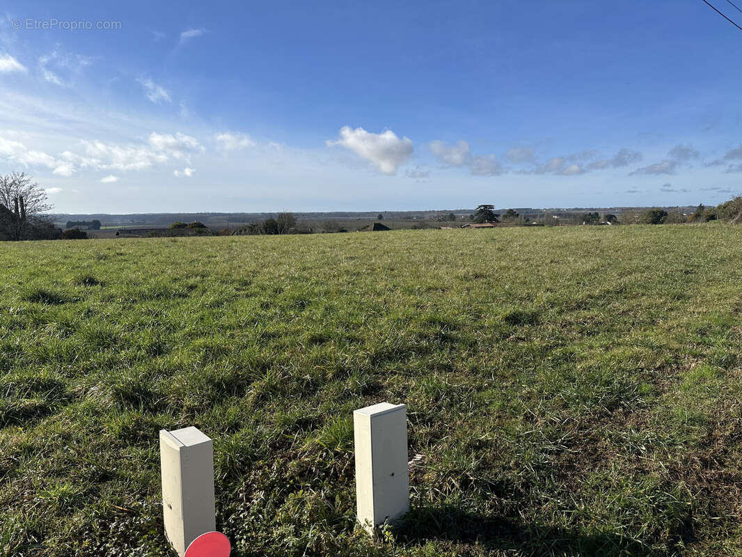 Terrain à MONGAUZY
