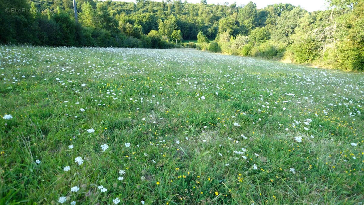 Charente. Moulin en Pierre pour Amoureux de la Nature, 8 ha, Ruisseau, Etang, Maison d'Amis, Bois - photo 19