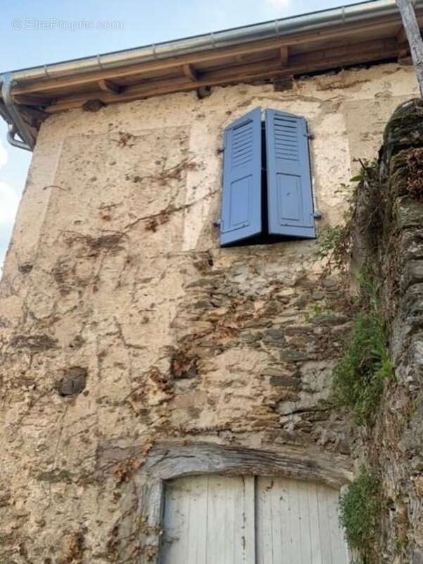 Maison à VIEILLEVIE