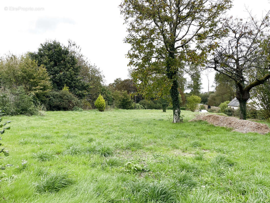 Terrain à QUETTREVILLE-SUR-SIENNE