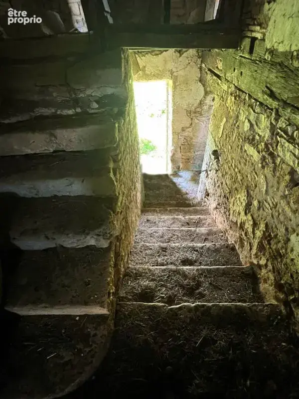Maison de maître Excideuil 5 pièce(s) 150 m2 et ses 36ha de terres - photo 7