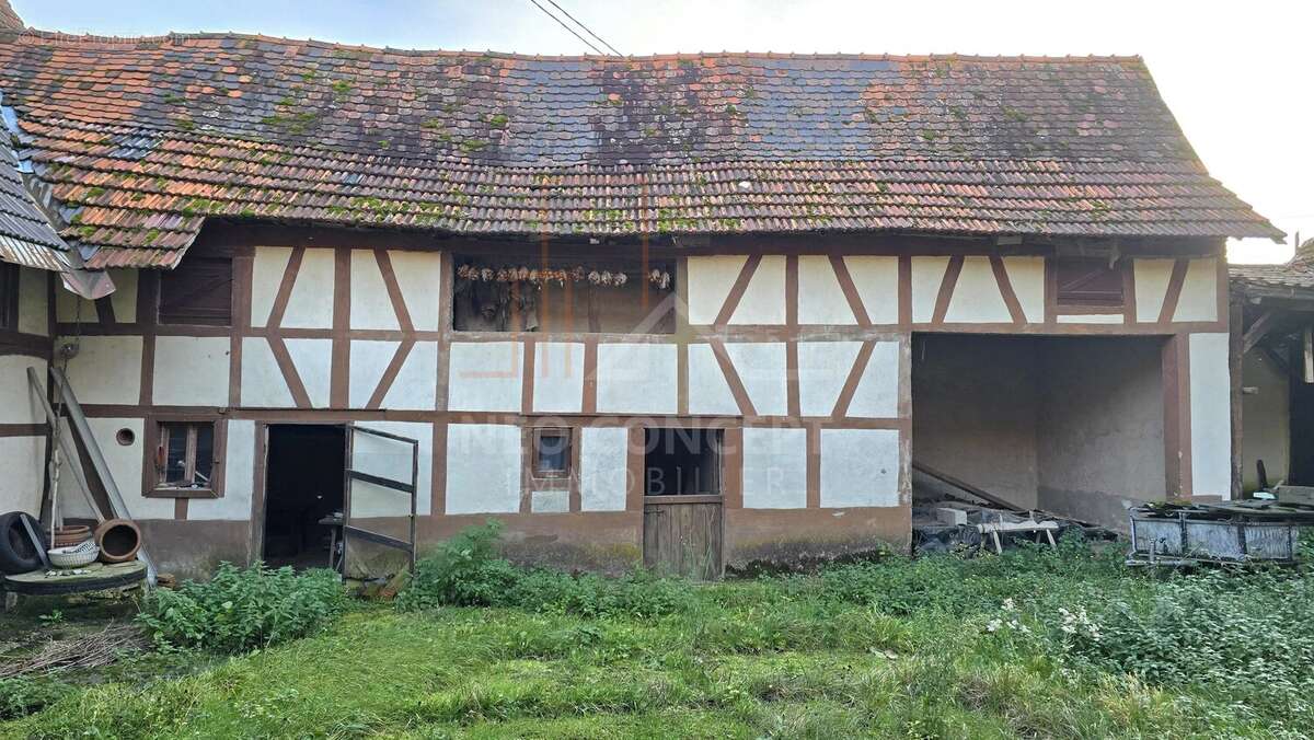 Maison à WINTZENBACH