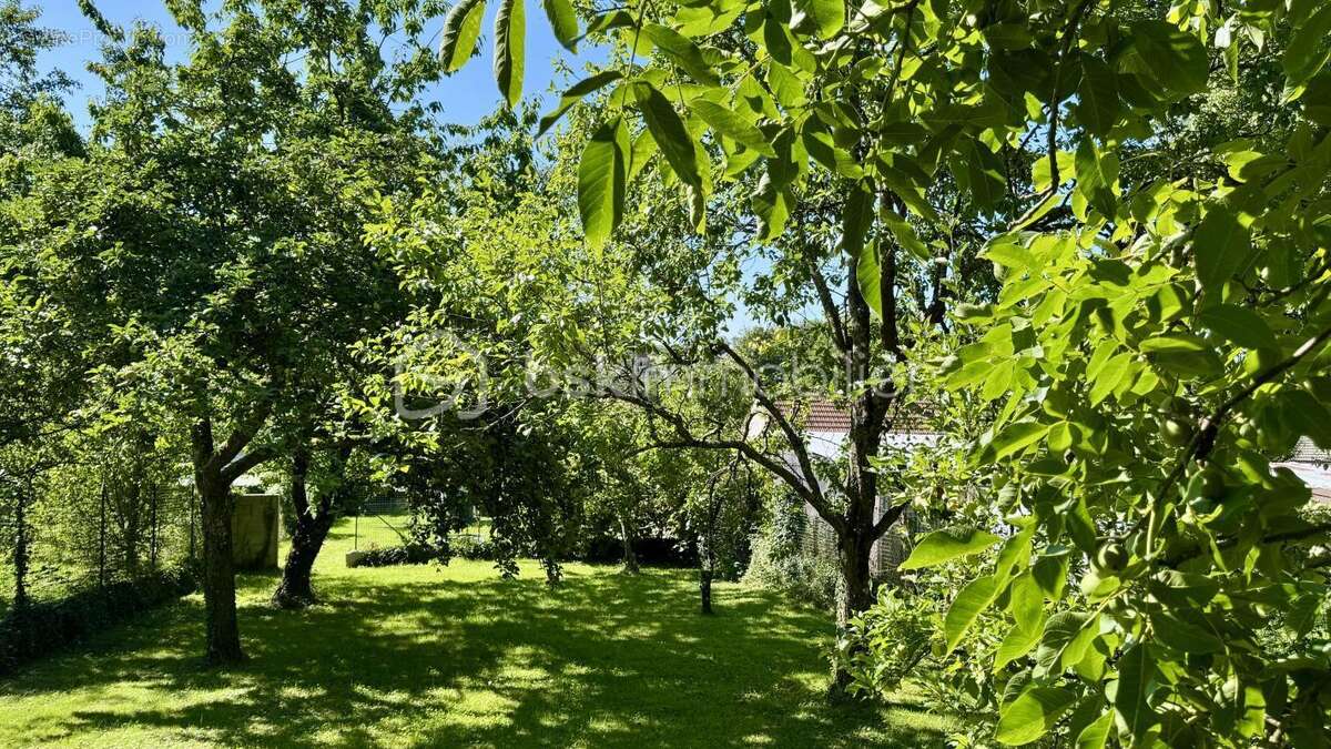 Maison à MONTREUIL-AUX-LIONS