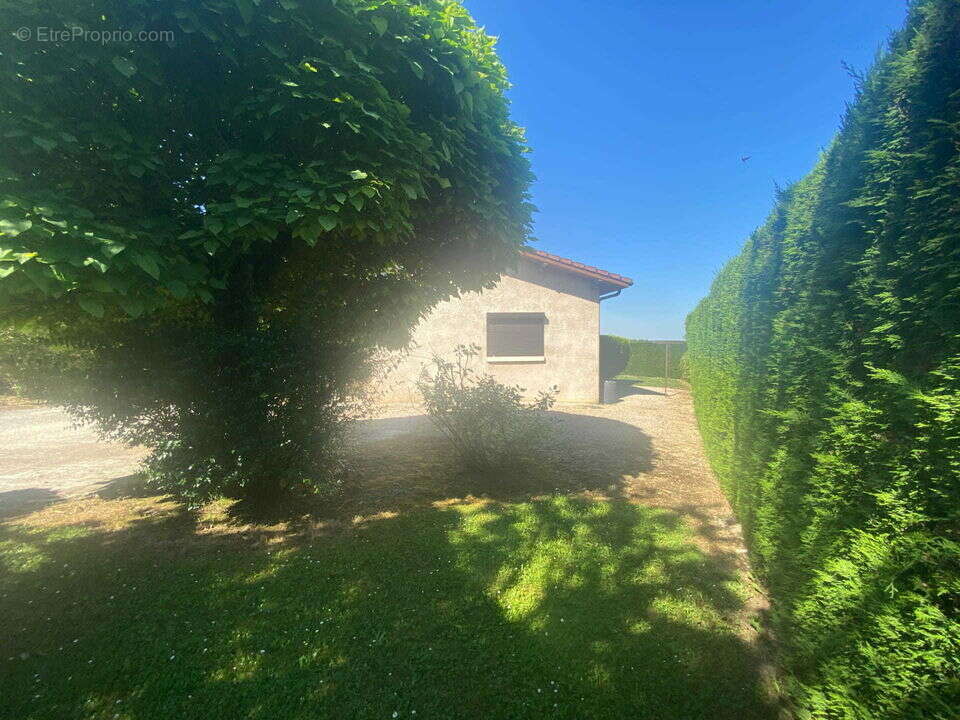 Maison à PARLEBOSCQ