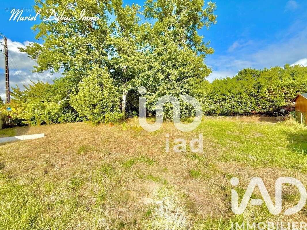 Photo 6 - Terrain à BREUILLET