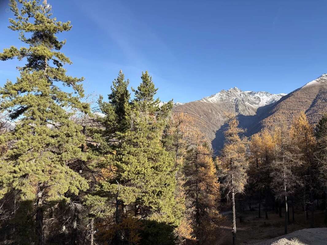 Appartement à SAINT-ETIENNE-DE-TINEE