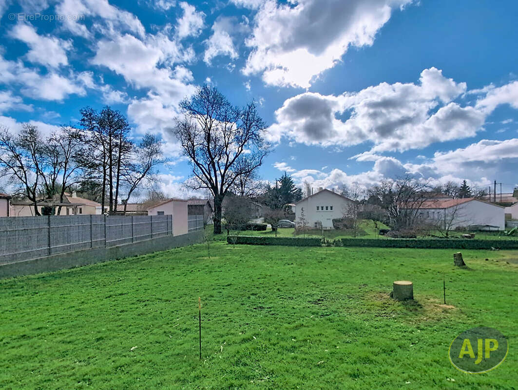 Terrain à VIEILLEVIGNE