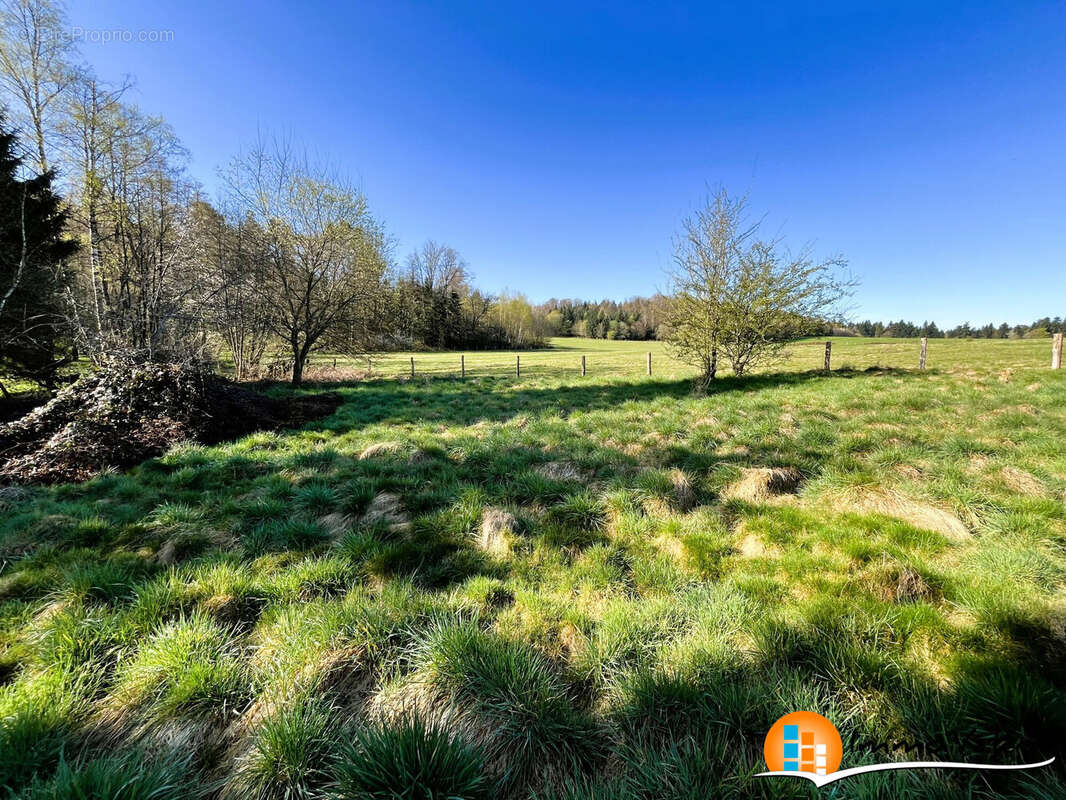 Terrain 2060 m² à Vimenil  - photo 2