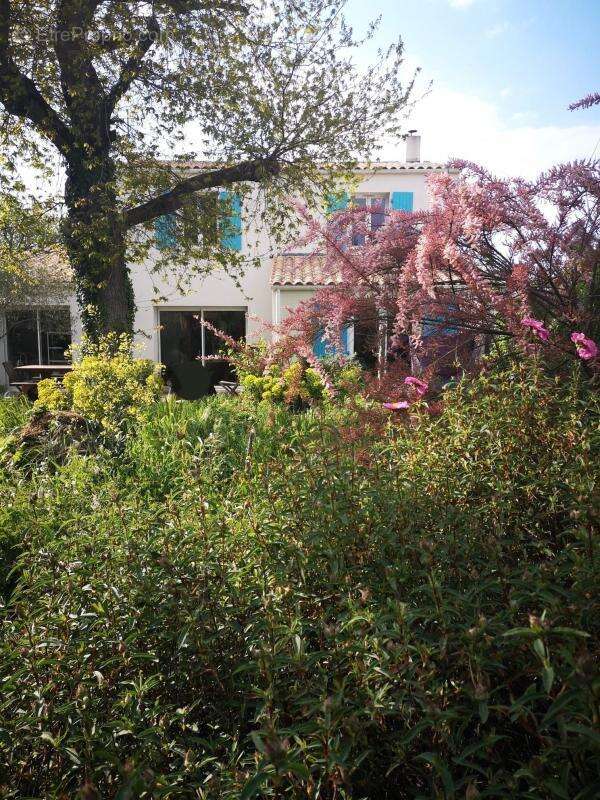 Maison à DOLUS-D&#039;OLERON