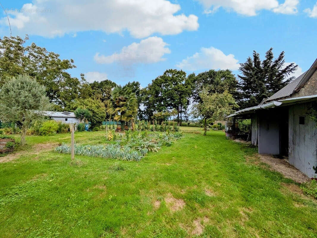 Terrain à SAINT-MARTIN