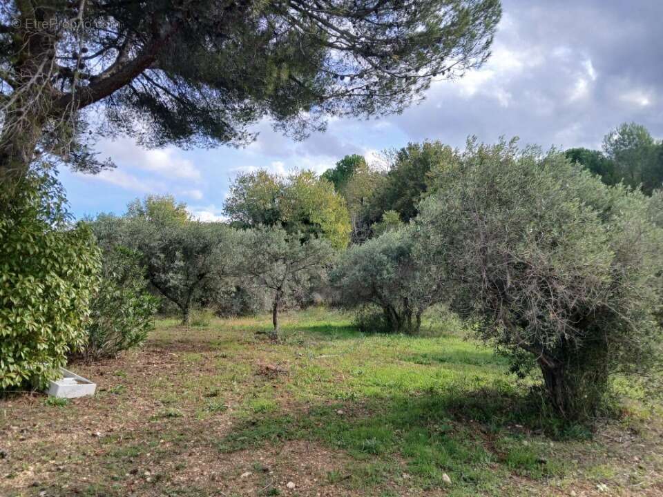 Terrain à VENTABREN