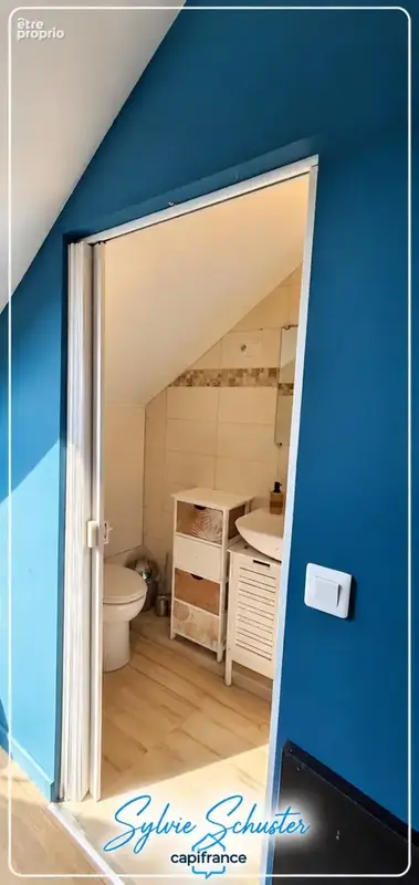 Maison à vendre 10 pièces ROUHLING (57) - photo 9