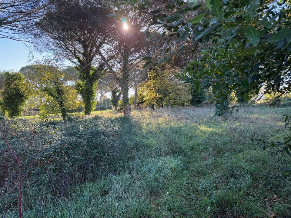 Terrain à SAINT-MAIXANT