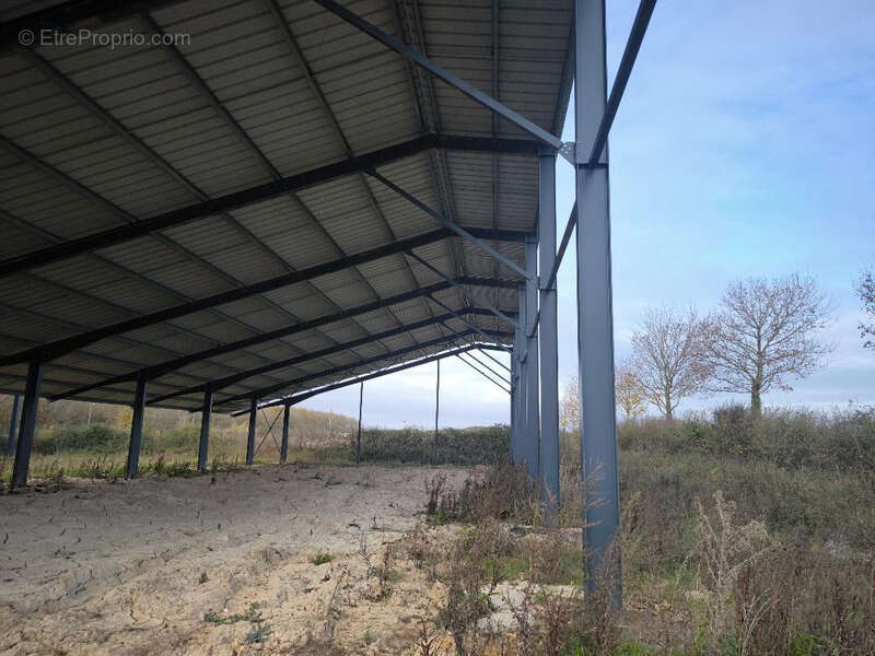Terrain à VION