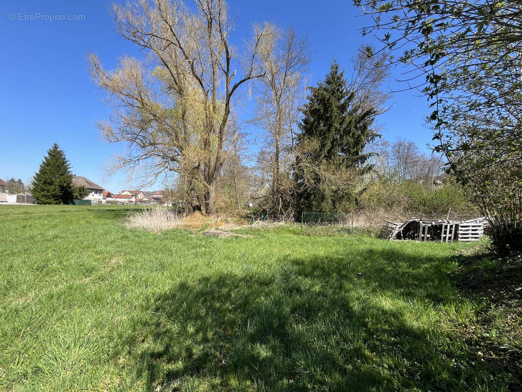 Terrain à HIRTZBACH