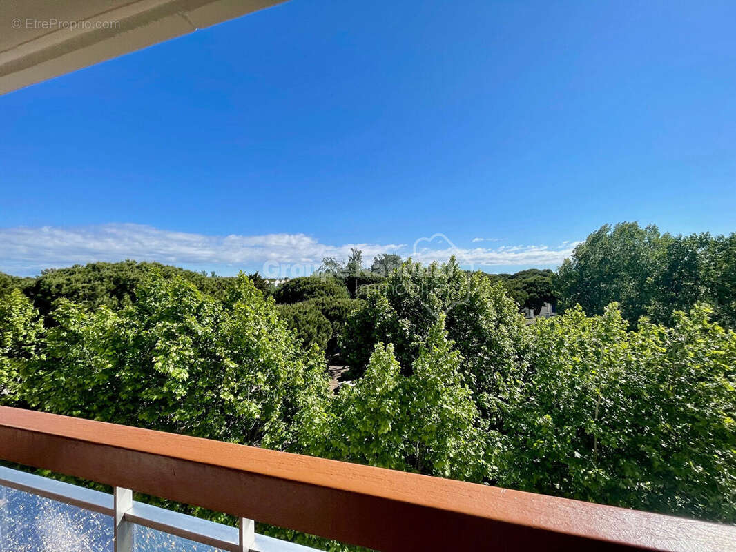 Appartement à LA GRANDE-MOTTE