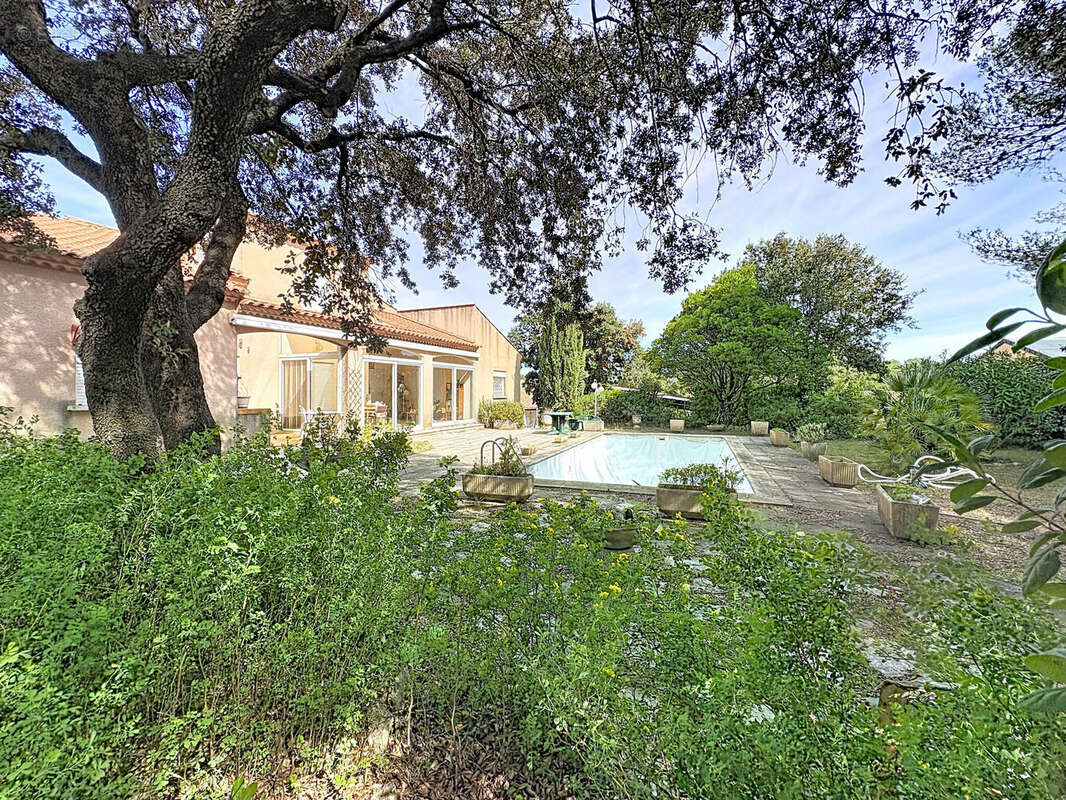 Photo 7 - Maison à SAINT-GELY-DU-FESC