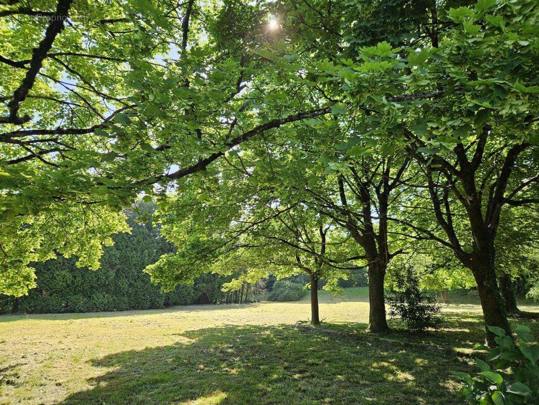 Maison à SAINT-JEAN-D'ANGELY