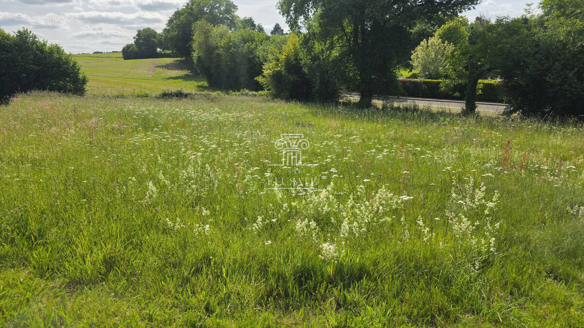 Terrain à EAUZE