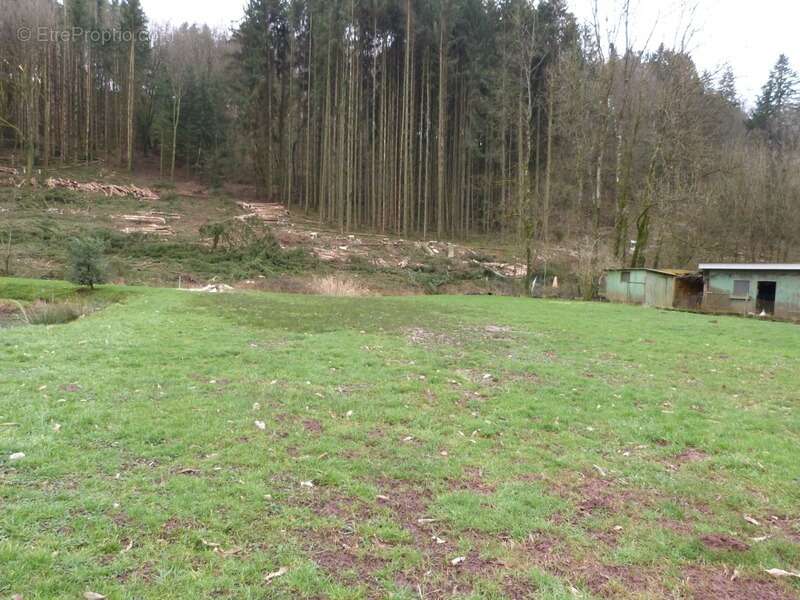 Dpt Moselle (57), à vendre HOTTVILLER terrain - Terrain de 803,00 m² - photo 5