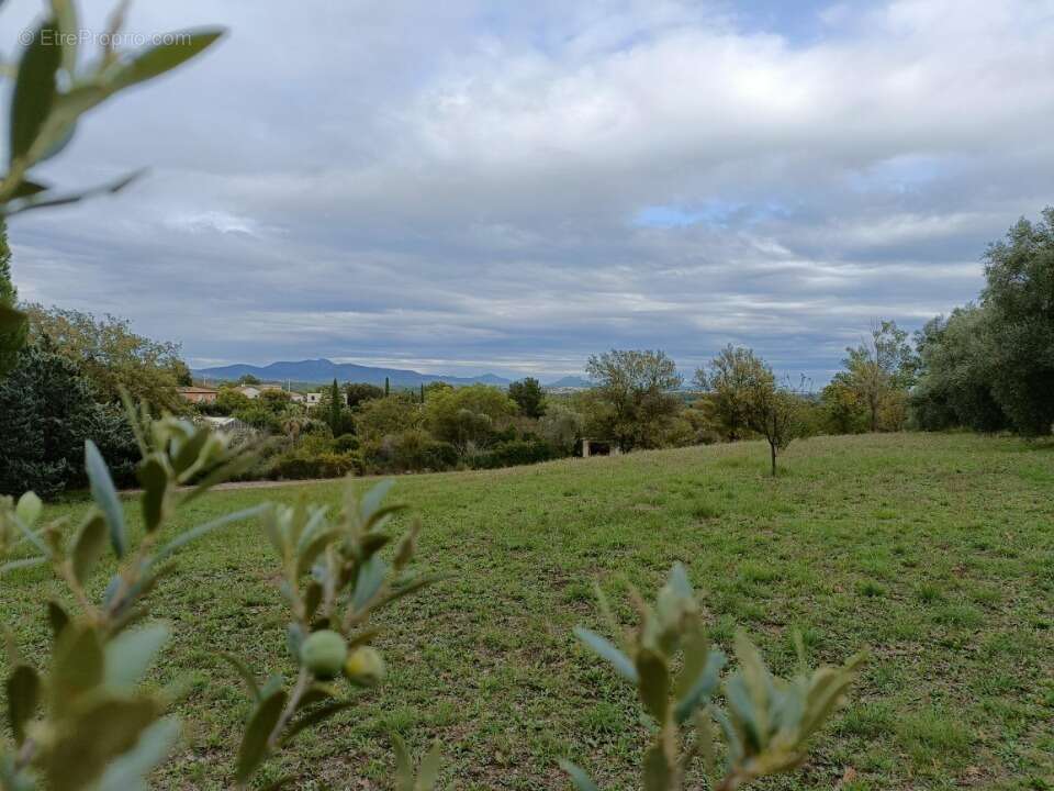 Terrain à ROQUEBRUNE-SUR-ARGENS