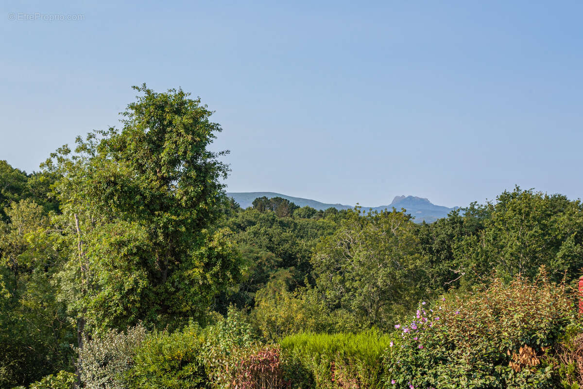 Maison individuelle   Ciboure   Calme et proximité plage - photo 11