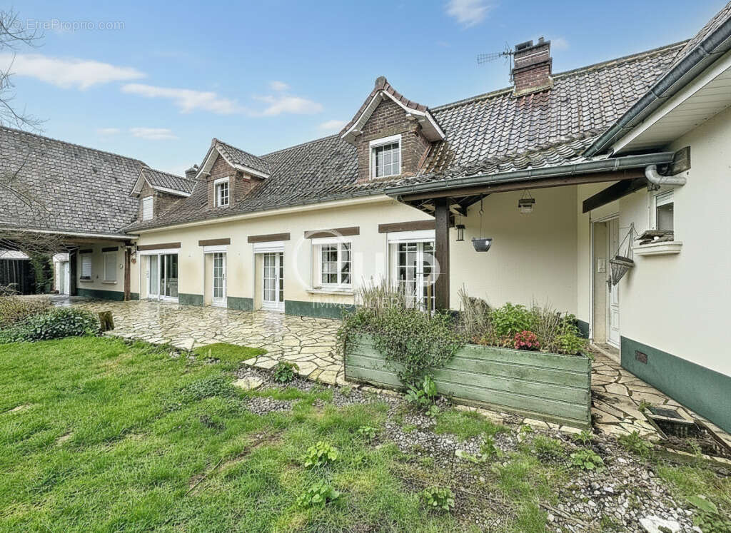 Maison à HESDIN