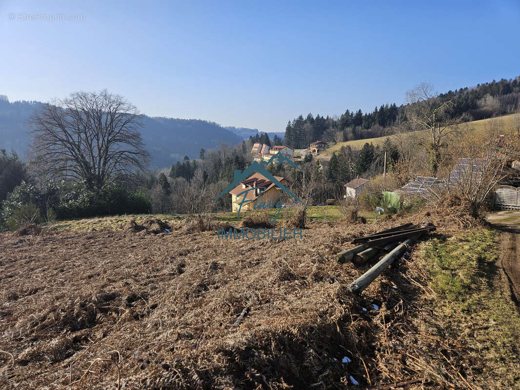 Terrain de 6500m2 dont 2300m2 constructible - photo 5