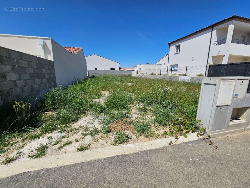 Terrain à CAZOULS-LES-BEZIERS
