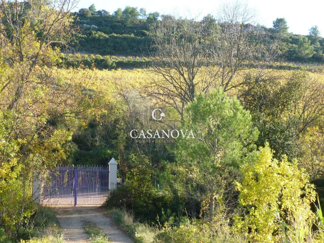 Maison à SAINT-CHINIAN