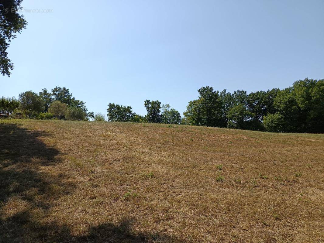 Terrain à SAIX