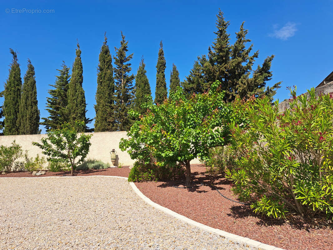 Maison à SALLELES-D&#039;AUDE