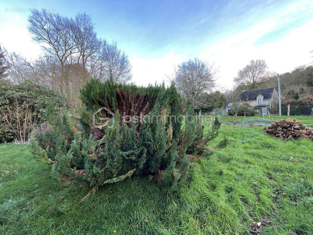 Maison à SAINT-SERVANT