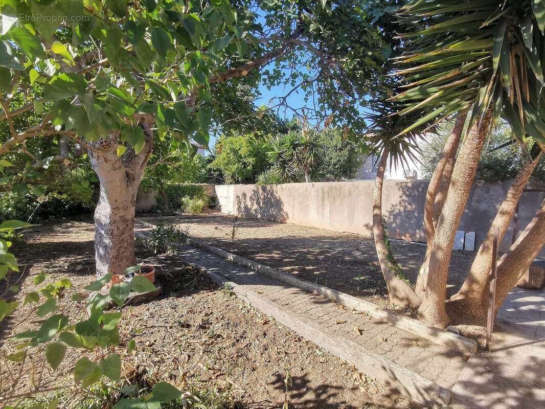Terrain à MARSEILLAN