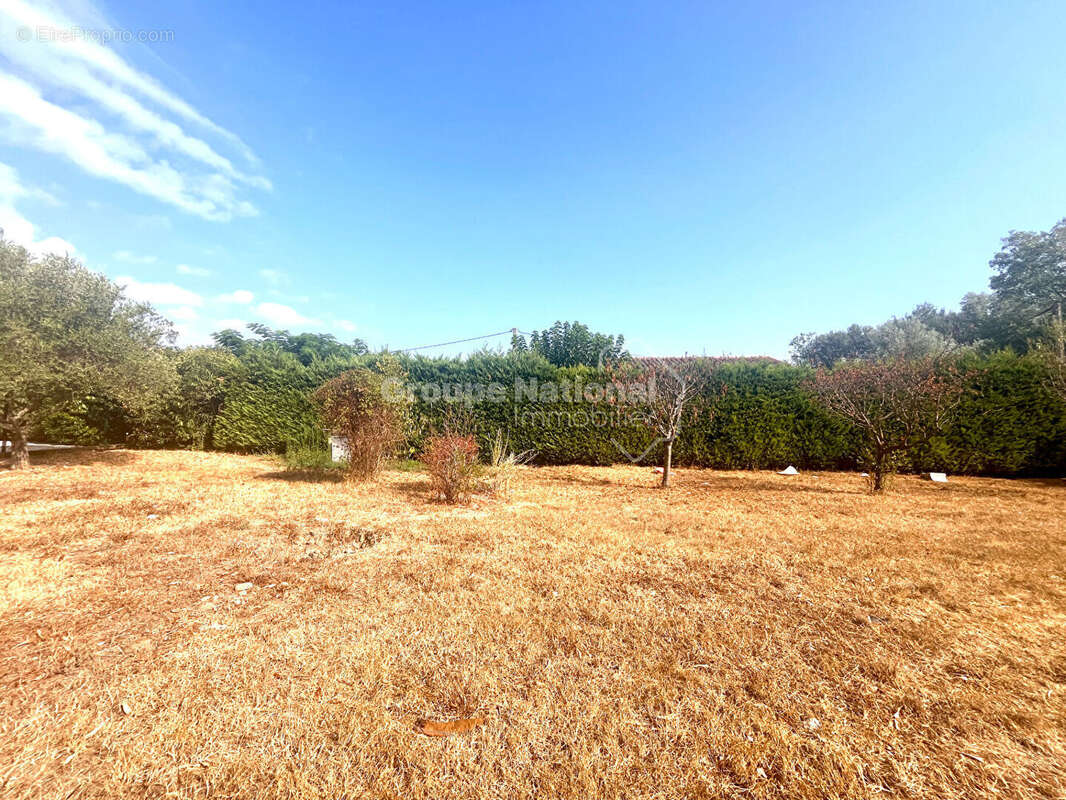 Terrain constructible de 755 m2 libre constructeur - photo 6