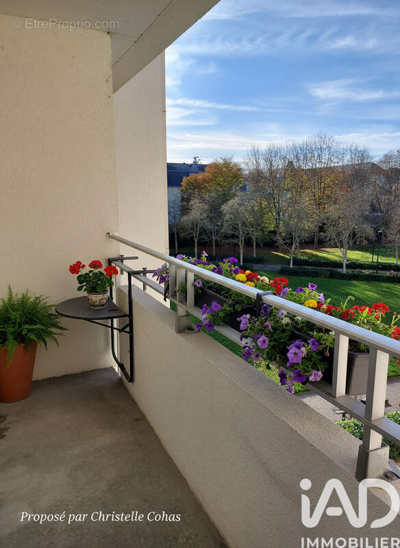 Photo 3 - Appartement à ANGERS
