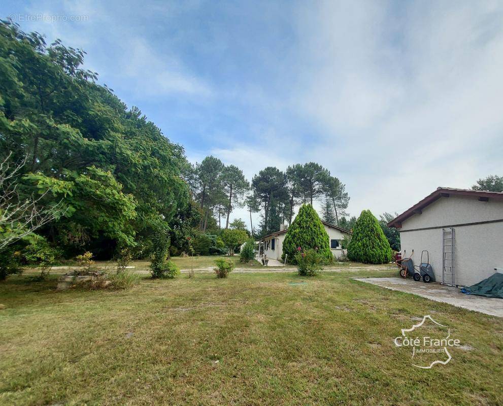 SOUS OFFRE - Maison grand terrain, piscine et garage - photo 6