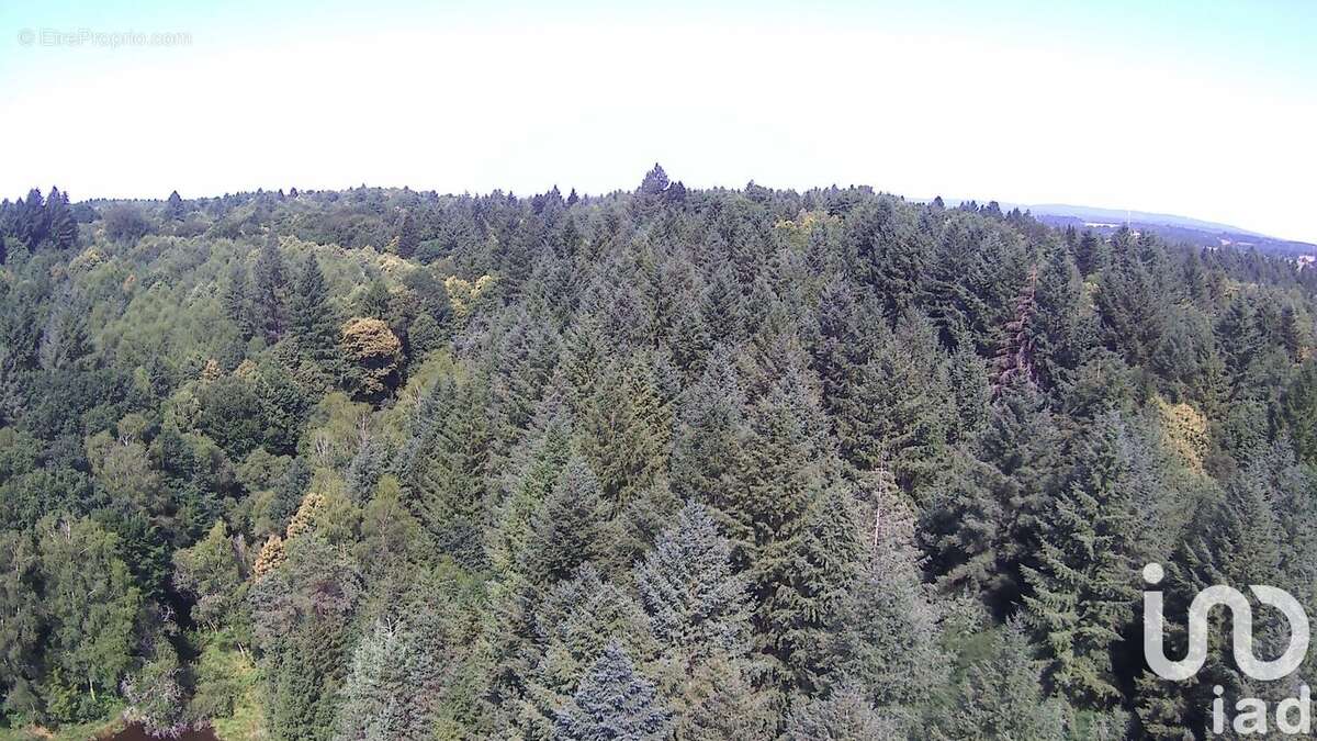 Photo 7 - Terrain à NIEUL