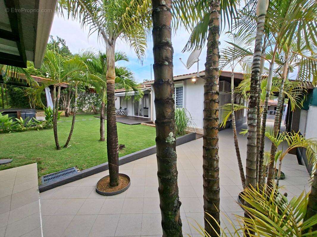 Maison à CAYENNE